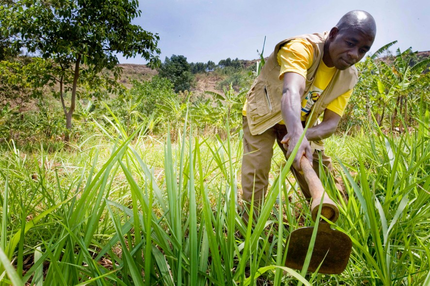 Quelles sont les habitudes alimentaires des seniors en Afrique ?