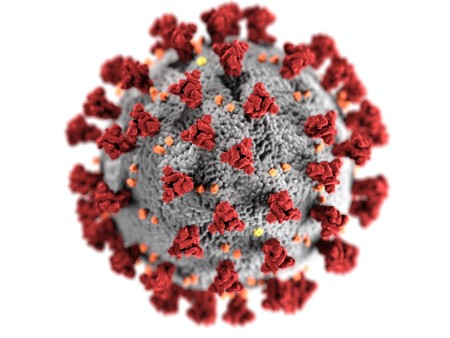 Ce que l'on ignore encore sur le coronavirus ?