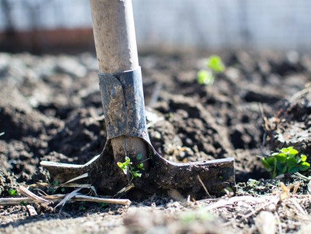 Plaisir du jardinier - Comment faire pousser ses propres légumes