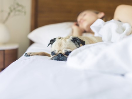 Trouver ou retrouver le sommeil après le confinement