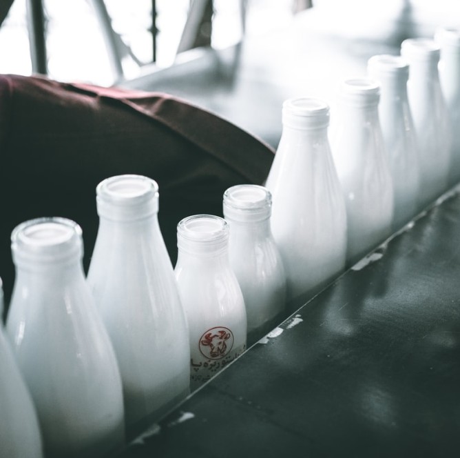 Limiter les pertes musculaires avec les produits laitiers
