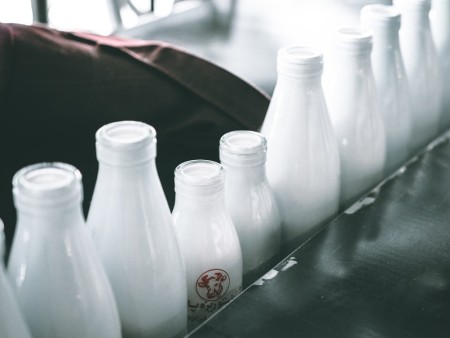 Limiter les pertes musculaires avec les produits laitiers