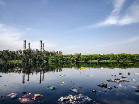 Quand vos déchets deviennent une ressource inépuisable : le compost