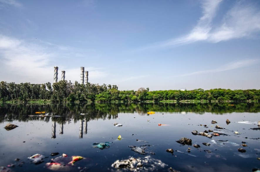 Quand vos déchets deviennent une ressource inépuisable : le compost