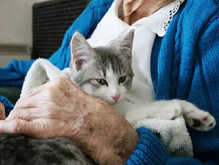 Les bienfaits des animaux de compagnie pour les séniors.